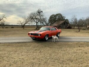 1969 Chevrolet Camaro X77 Z/28