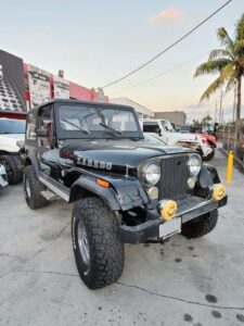 1981 Jeep Jeep CJ7